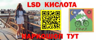 Альфа ПВП Кандалакша
