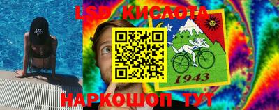 Альфа ПВП Кандалакша