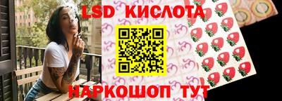 Альфа ПВП Кандалакша