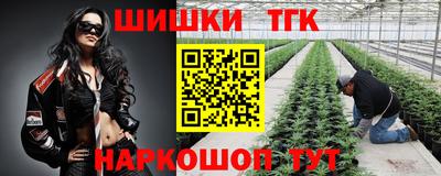 Альфа ПВП Кандалакша