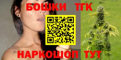 Альфа ПВП Кандалакша