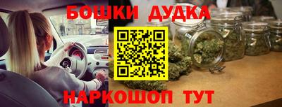 Альфа ПВП Кандалакша