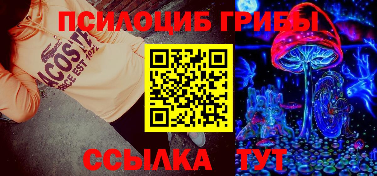 Галлюциногенные грибы Cubensis Кувандык